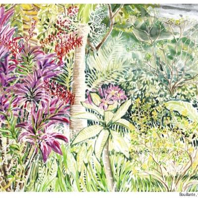 Jardin Orchidees 2